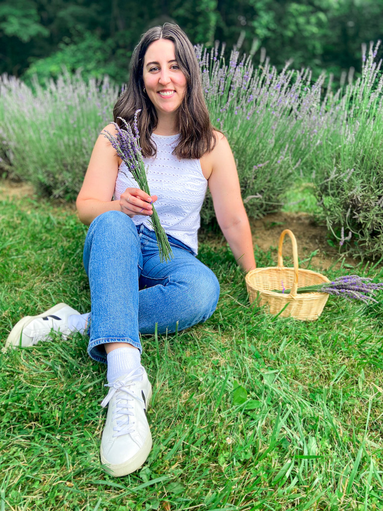 Lavender picking tips & tricks - everything you need to know
