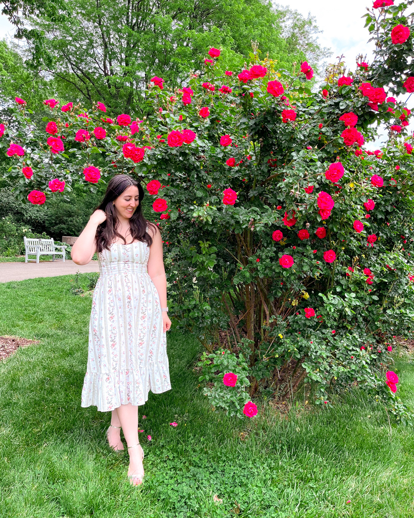 Image description: a white woman standing in front of a bright pink rose bush in the park of roses.