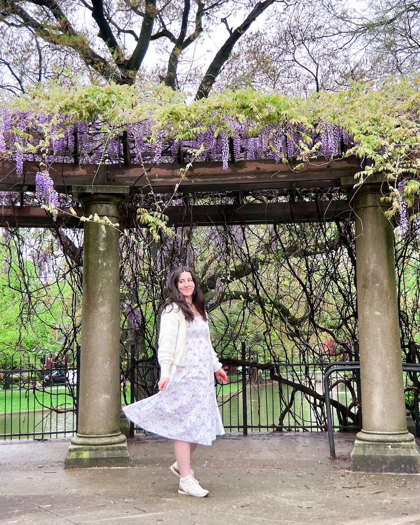 Where to find wisteria. Image description: a woman standing in the middle of two columns that hold up a wooden trellis. The trellis holds many wisteria vines and flowers that hang down above her.